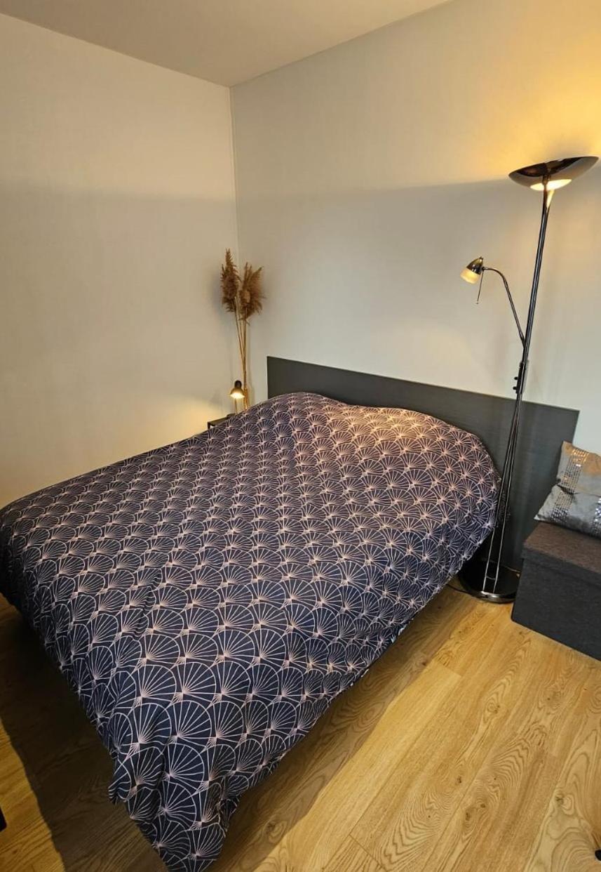Studio Les Deux Grenouilles 5Mn De Colmar Herrlisheim-près-Colmar Exteriér fotografie
